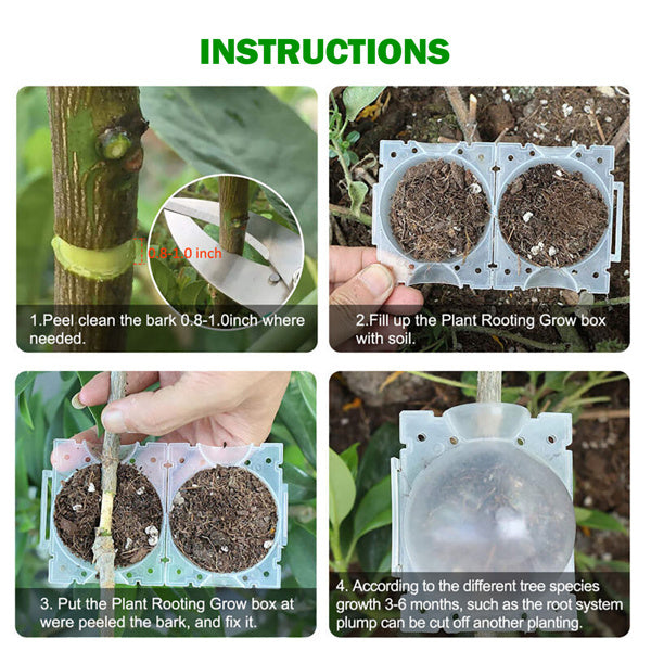 Plant Propagation Box No Shipments On Weekends